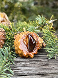 Mini Pinecone Necklace - Mexican Fire Agate