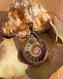 Bronze Wire Wrapped Ammonite Fossil Pendant