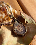 Bronze Wire Wrapped Ammonite Fossil Pendant