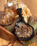 Black Wire Wrapped Ammonite Fossil Pendant