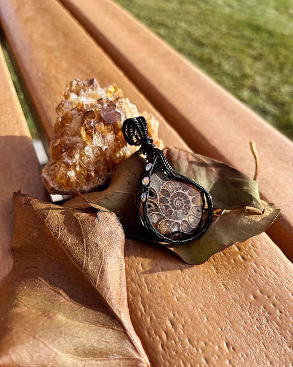 Black Wire Wrapped Ammonite Fossil Pendant